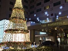 王府半岛酒店-王府半岛酒店