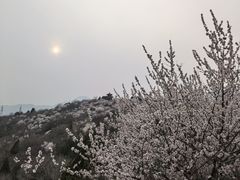 -白水寺森林公园