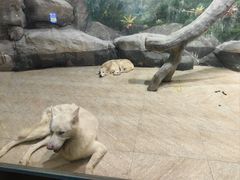 -福州罗源湾海洋世界旅游区