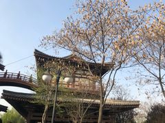 -西安青龙寺遗址景区