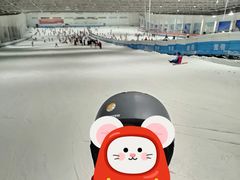 -绍兴启迪乔波冰雪世界