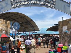 -尼甘布海鲜市场