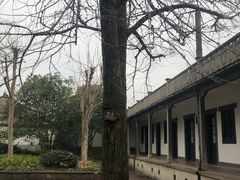 -蒋氏故居