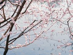 -郭守敬纪念馆