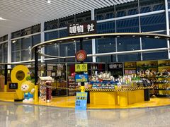 -青岛胶东国际机场