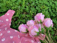 -贵州省植物园