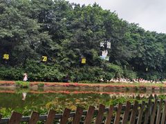 -广州长隆飞鸟乐园