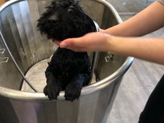 -PETKIT小佩宠物(古北店)