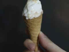鲜椰子雪糕-歎雪糕低糖低脂Gelato冰淇淋