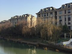 -新江湾城公园