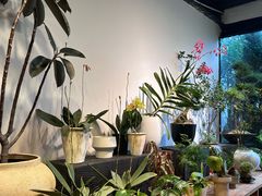 -自由生长植物工作室(深港花卉中心店)