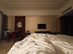 -东正国际大酒店