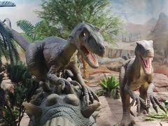 -国家自然博物馆