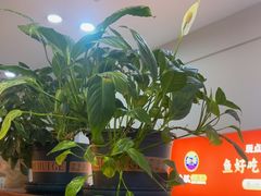 -怪噜范·老贵阳街头名小吃(鸿通城店)