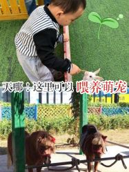 -萌宠亲子动物乐园(槐房万达店)