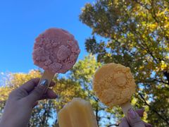 -北京西山国家森林公园