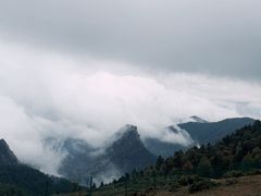 -芦芽山旅游度假区