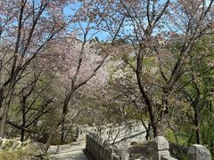 -崂山巨峰游览区