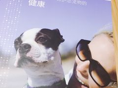 -艾贝尔宠物医院 ·内科全科(梁溪路店)