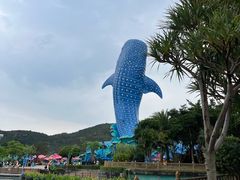 -珠海长隆海洋王国