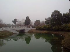 -苏州太湖国家湿地公园