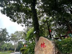 -广州市白云山风景名胜区