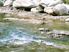 -青峰峡国家森林公园