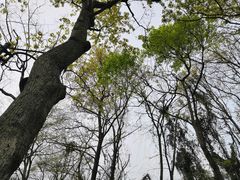 -国生茶庄·地道农家菜团建活动