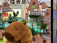-凯德MALL(西直门店)