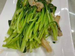 春菜苗-宜兴隆家宴·私房菜(泰安华庭店)