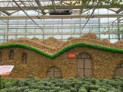 -兰陵国家农业公园