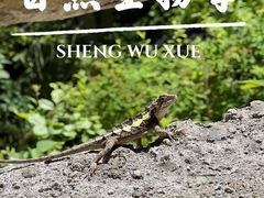 -洛阳白云山景区