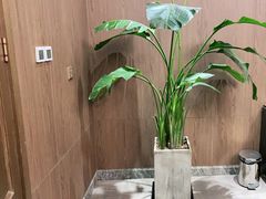 -尚宴(盛世广场·食尚街店)