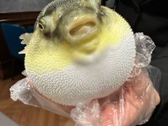 -肆月河豚·新淮扬(金融街店)