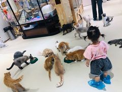 -藏猫猫咖啡主题馆(中央大道店)