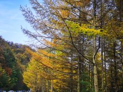-秦岭风景区