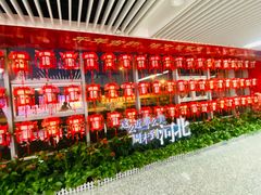 -石家庄正定国际机场-T2航站楼