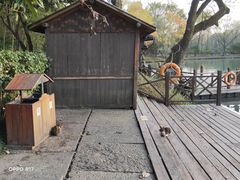 -西溪国家湿地公园