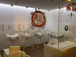 -海豚湾高端月子会所(黄浦店)