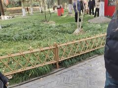 -水绘园