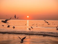 -老虎石海上公园