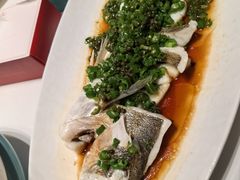 -鸽子侯·家宴·平价海鲜(绿地店)