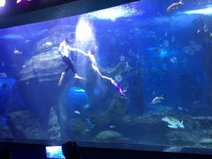 -多彩贵州城极地海洋世界