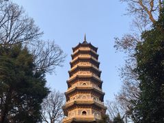 -灵谷景区