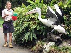-可伦宾野生动物保护区