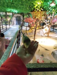 -酷嗒动物文化乐园(cutezoo西溪乐天城店)