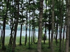 -长春市南湖公园