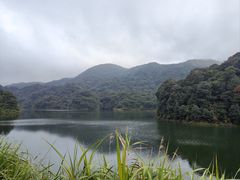 -广州市石门国家森林公园