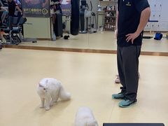 -中田健身工作室(深圳南油店)