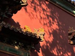 -故宫博物院(故宫)
